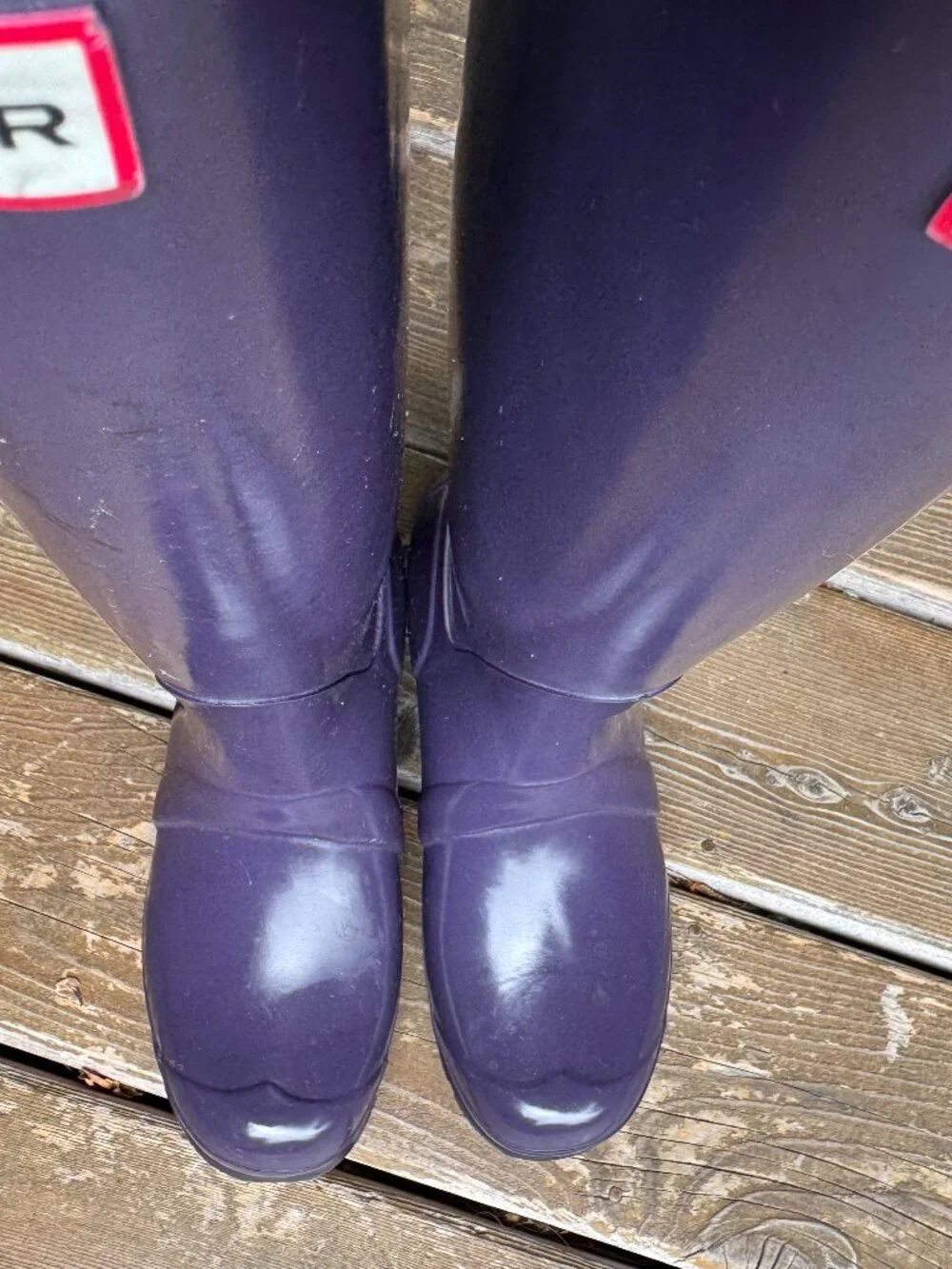 EUC Hunter Purple Original Tall Waterproof Rain Boots in Kids Size 5/EU 36
